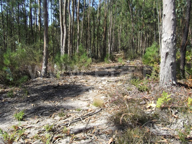 Terreno para Construção  Barcelos, Creixomil e Mariz - 1356831 - 5