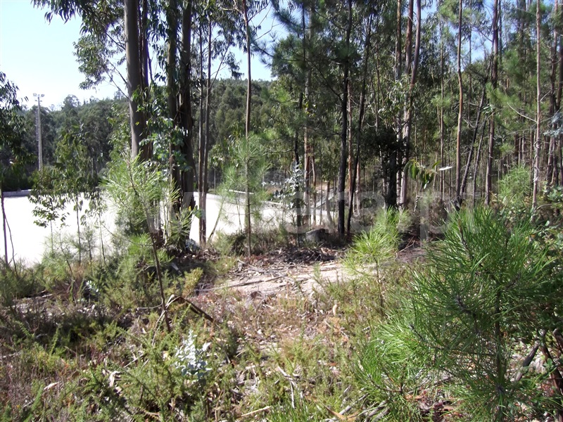 Terreno para Construção  Barcelos, Creixomil e Mariz - 1356831 - 3