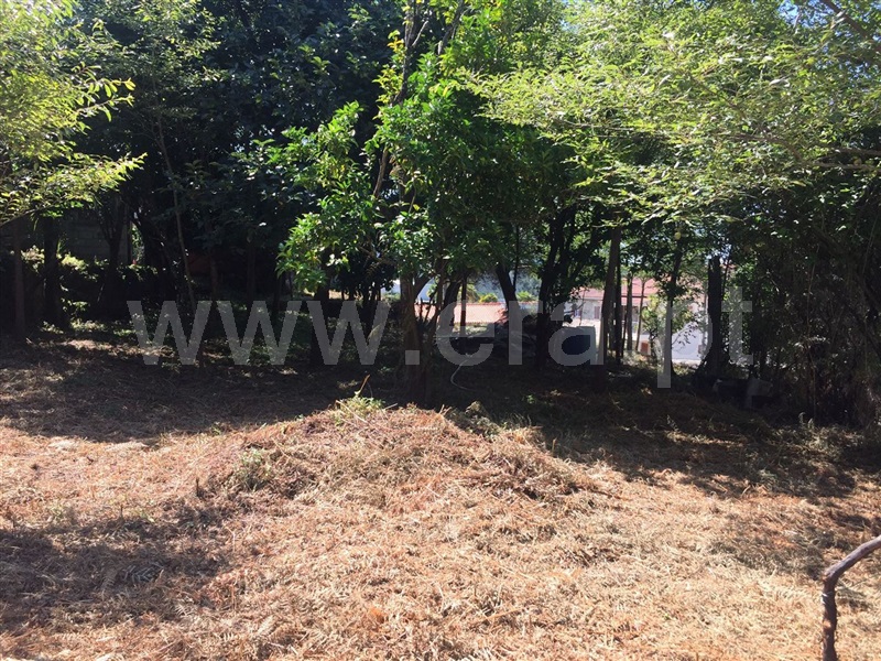 Terreno para Construção  Barcelos, Creixomil e Mariz - 1377805 - 3