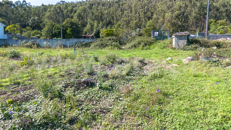 Terreno para Construção  Barcelos, Creixomil e Mariz - 1503910 - 5