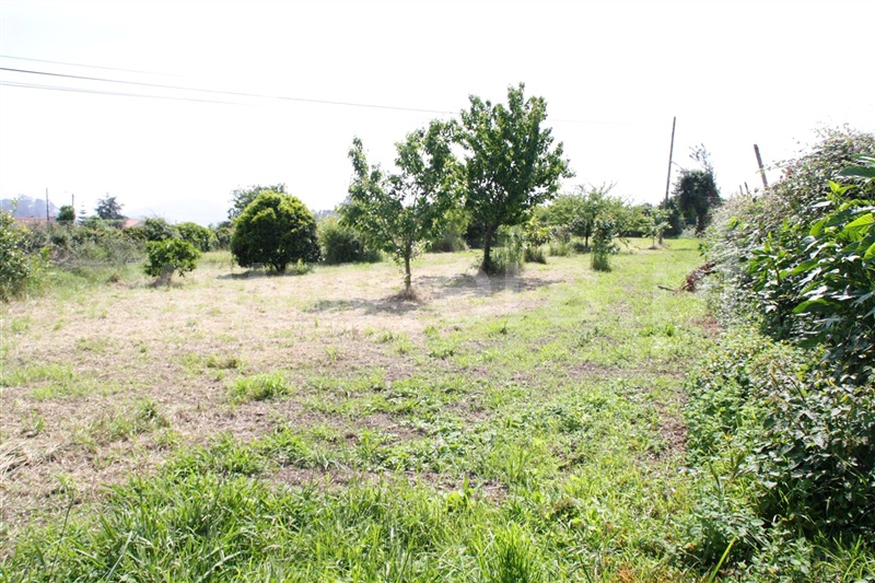 Terreno para Construção / Barcelos, Creixomil e Mariz