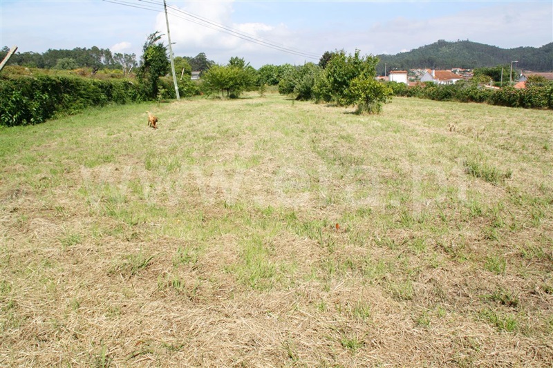 Terreno para Construção  Barcelos, Creixomil e Mariz - 917220 - 3