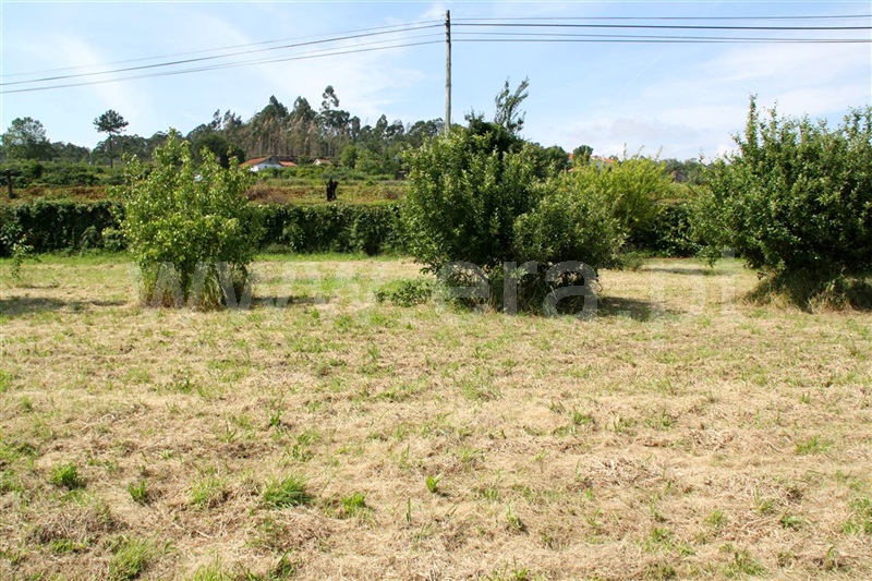 Terreno para Construção  Barcelos, Creixomil e Mariz - 917220 - 5