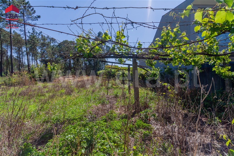 Terreno para Construção / Barcelos, Cristelo