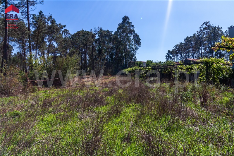 Terreno para Construção  com Rústico Barcelos, Cristelo - 1408226 - 5