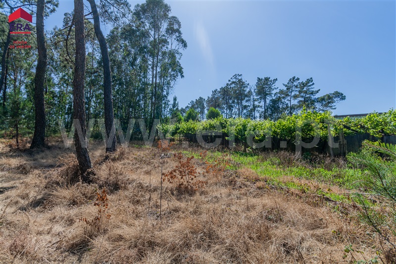 Terreno para Construção  com Rústico Barcelos, Cristelo - 1408226 - 10