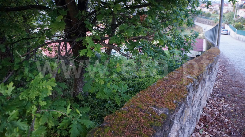 Terreno para Construção  Barcelos, Durrães e Tregosa - 1230639 - 2
