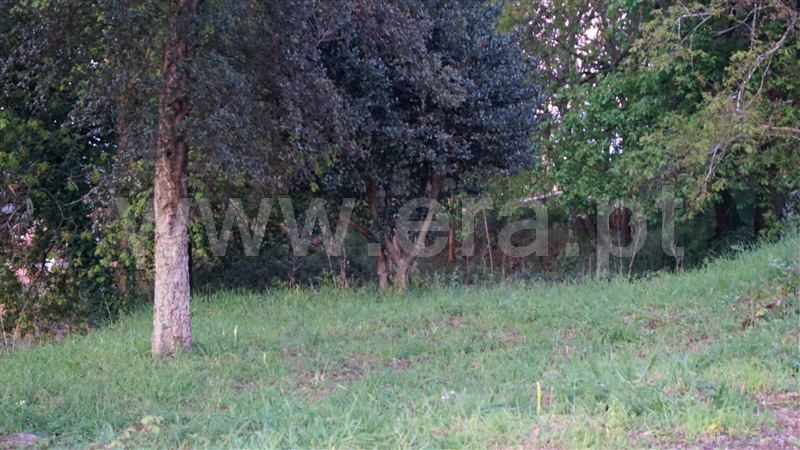 Terreno para Construção  Barcelos, Durrães e Tregosa - 1230639 - 3