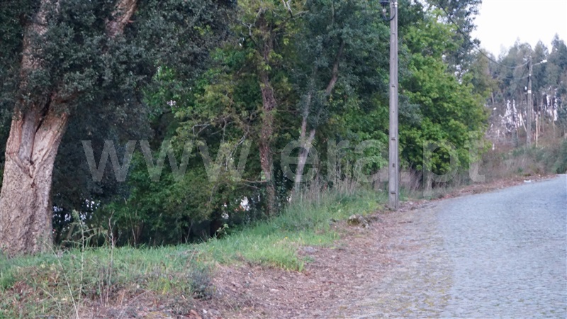 Terreno para Construção  Barcelos, Durrães e Tregosa - 1230639 - 4