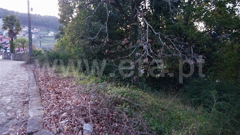 Terreno para Construção / Barcelos, Durrães e Tregosa