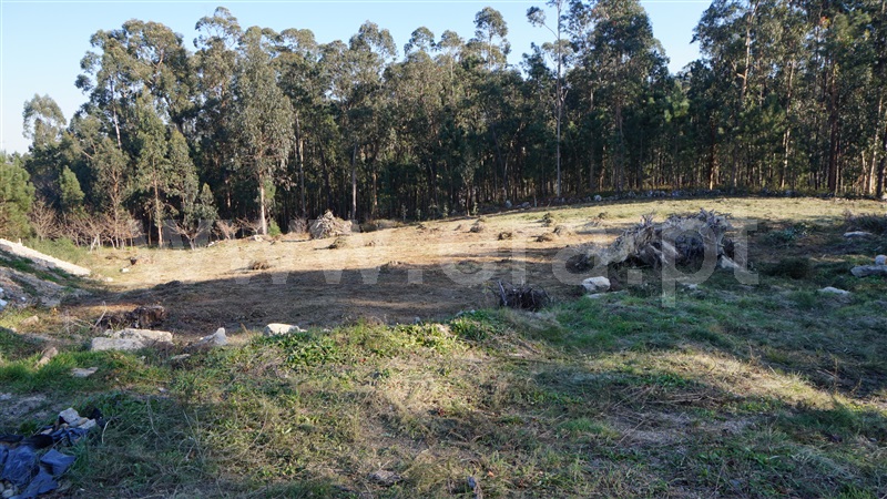 Terreno para Construção  Barcelos, Durrães e Tregosa - 1306389 - 4