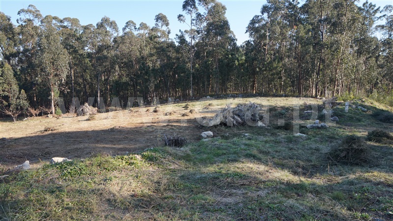 Terreno para Construção  Barcelos, Durrães e Tregosa - 1306389 - 5