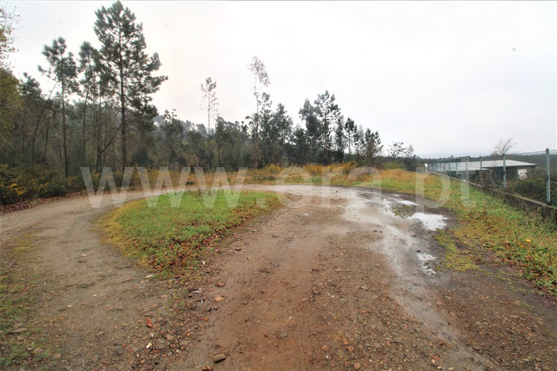 Terreno para Construção  Barcelos, Durrães e Tregosa - 1310262 - 6