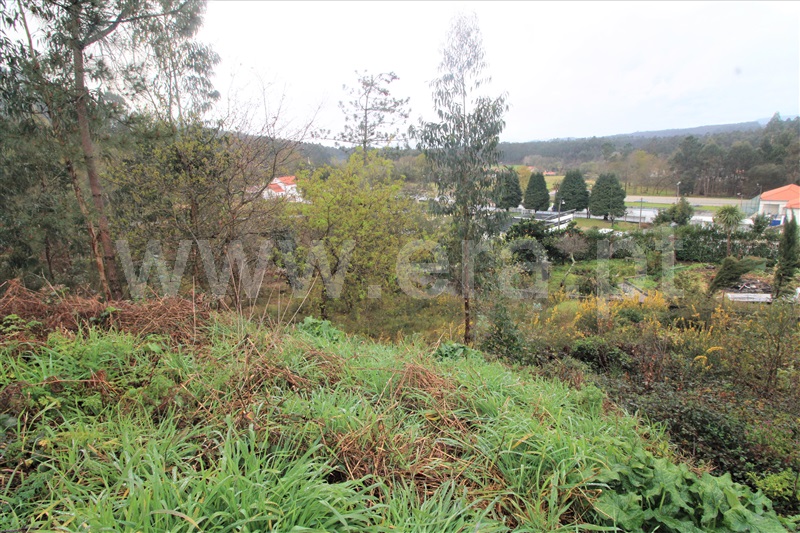 Terreno para Construção / Barcelos, Durrães e Tregosa