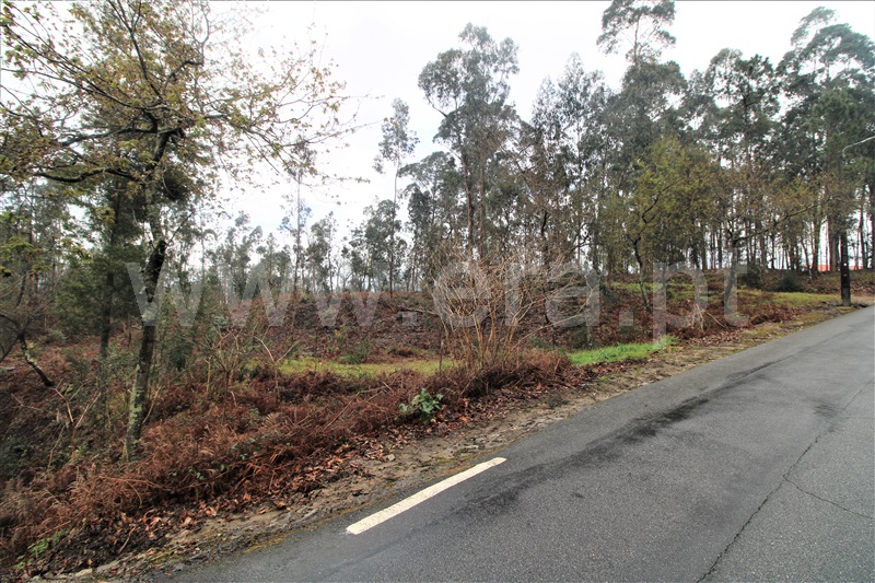 Terreno para Construção  Barcelos, Durrães e Tregosa - 1310262 - 9