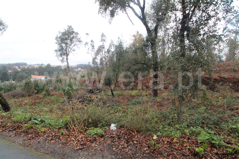 Terreno para Construção  Barcelos, Durrães e Tregosa - 1310262 - 10
