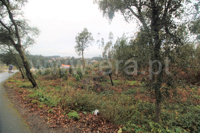 Terreno para Construção  Barcelos, Durrães e Tregosa - 1310262 - 11