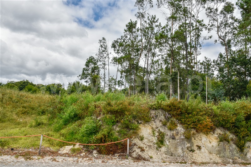 Terreno para Construção  Barcelos, Durrães e Tregosa - 1342180 - 3