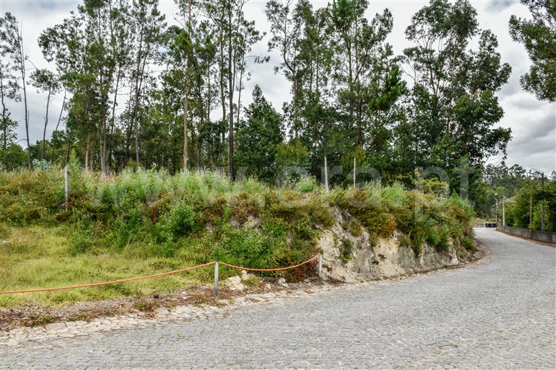 Terreno para Construção  Barcelos, Durrães e Tregosa - 1342180 - 4