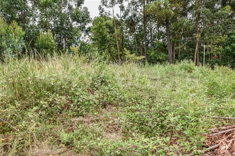 Terreno para Construção  Barcelos, Durrães e Tregosa - 1342180 - 7