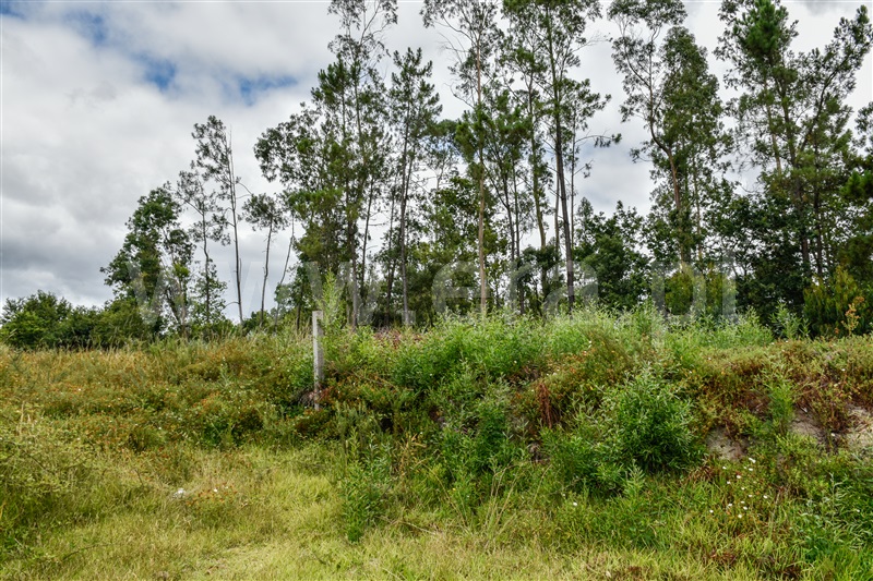 Terreno para Construção  Barcelos, Durrães e Tregosa - 1342180 - 8