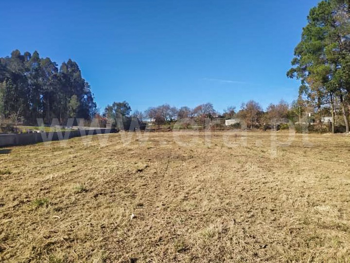 Terreno para Construção  Barcelos, Durrães e Tregosa - 1342180 - 11