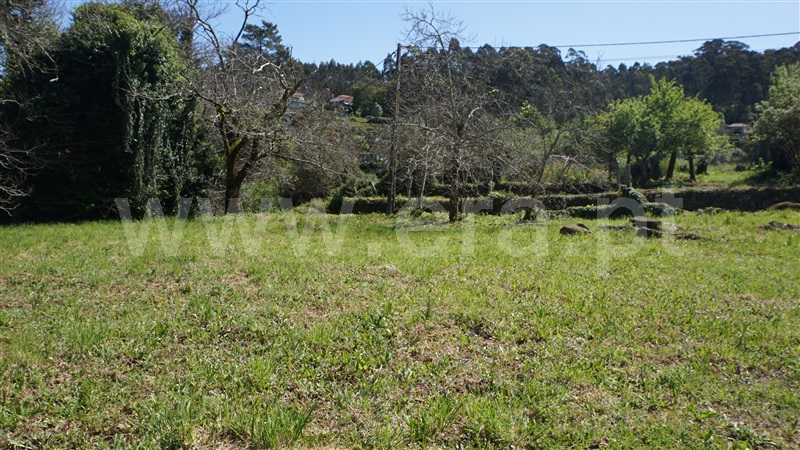 Terreno para Construção  Barcelos, Durrães e Tregosa - 1473699 - 5