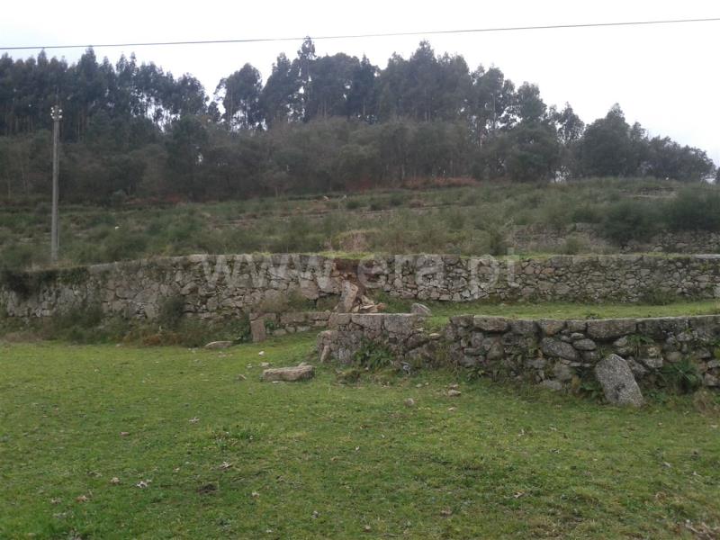 Terreno para Construção  Barcelos, Durrães e Tregosa - 624304 - 2