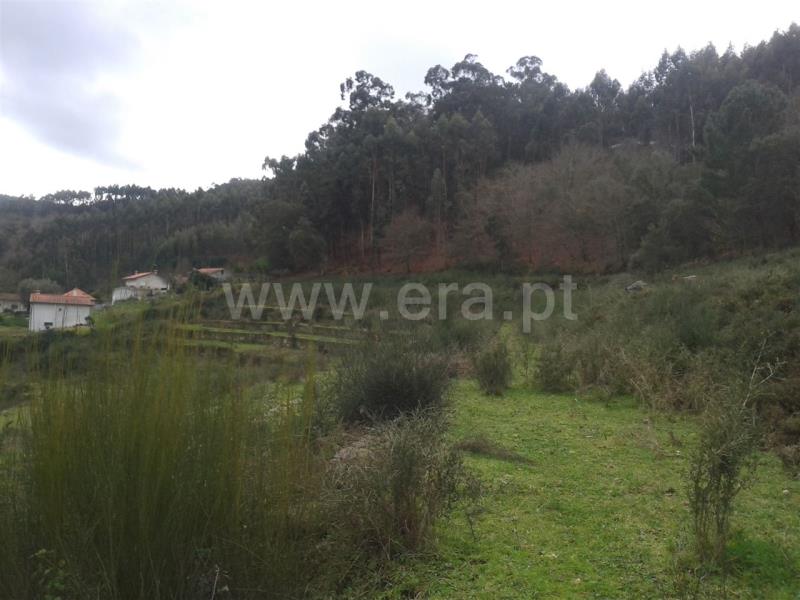 Terreno para Construção  Barcelos, Durrães e Tregosa - 624304 - 3