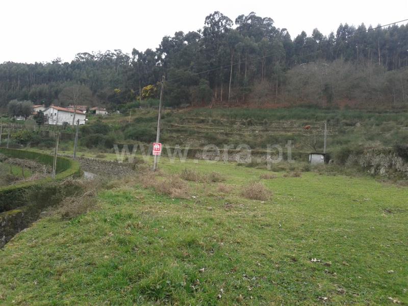 Terreno para Construção  Barcelos, Durrães e Tregosa - 624304 - 5