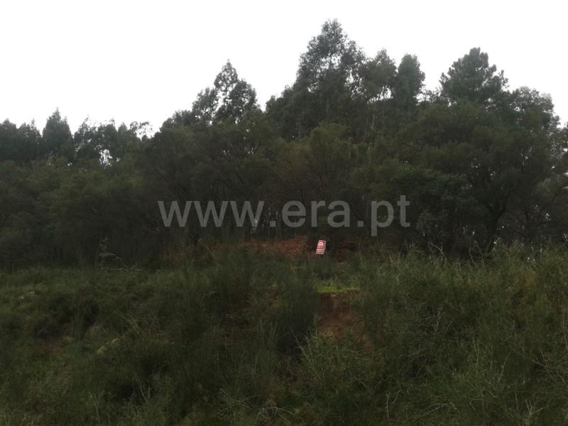 Terreno para Construção  Barcelos, Durrães e Tregosa - 624304 - 6