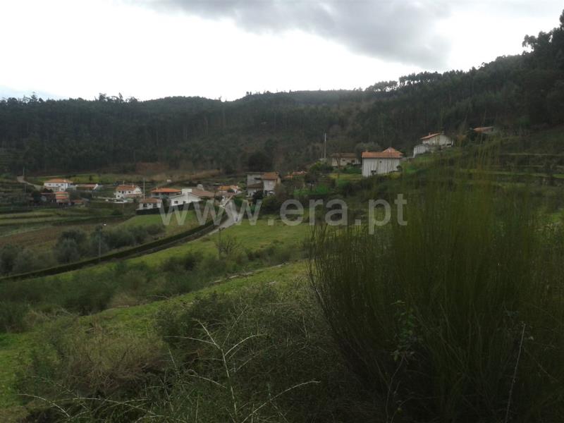 Terreno para Construção  Barcelos, Durrães e Tregosa - 624304 - 8