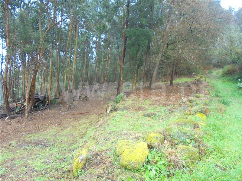 Terreno para Construção / Barcelos, Durrães e Tregosa