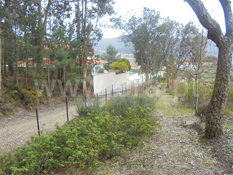 Terreno para Construção  Barcelos, Durrães e Tregosa - 899583 - 4