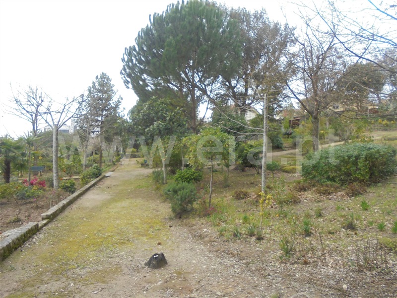 Terreno para Construção  Barcelos, Durrães e Tregosa - 899583 - 7