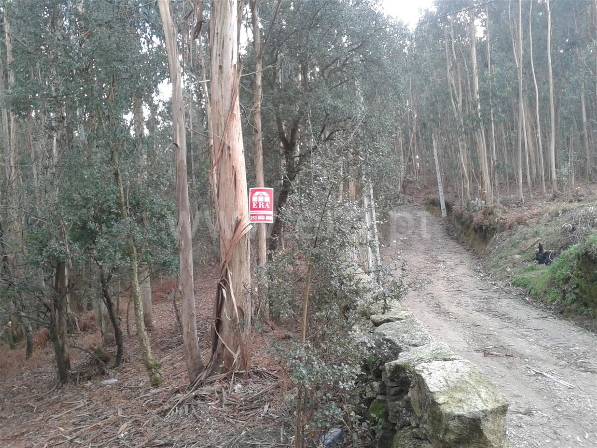 Land for sale in Barcelos, Portugal — €750,000