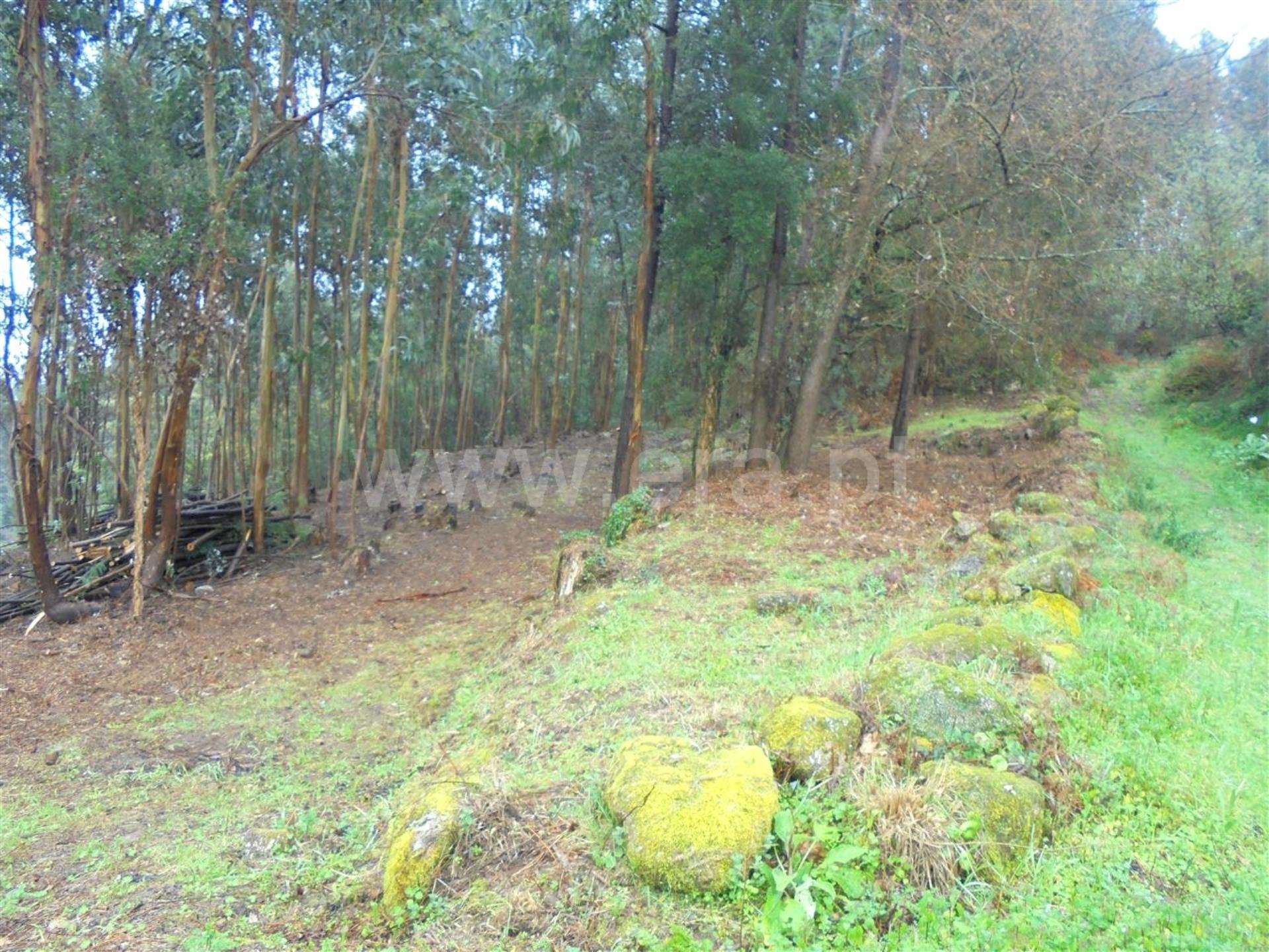 Land for sale in Barcelos, Portugal — €95,000