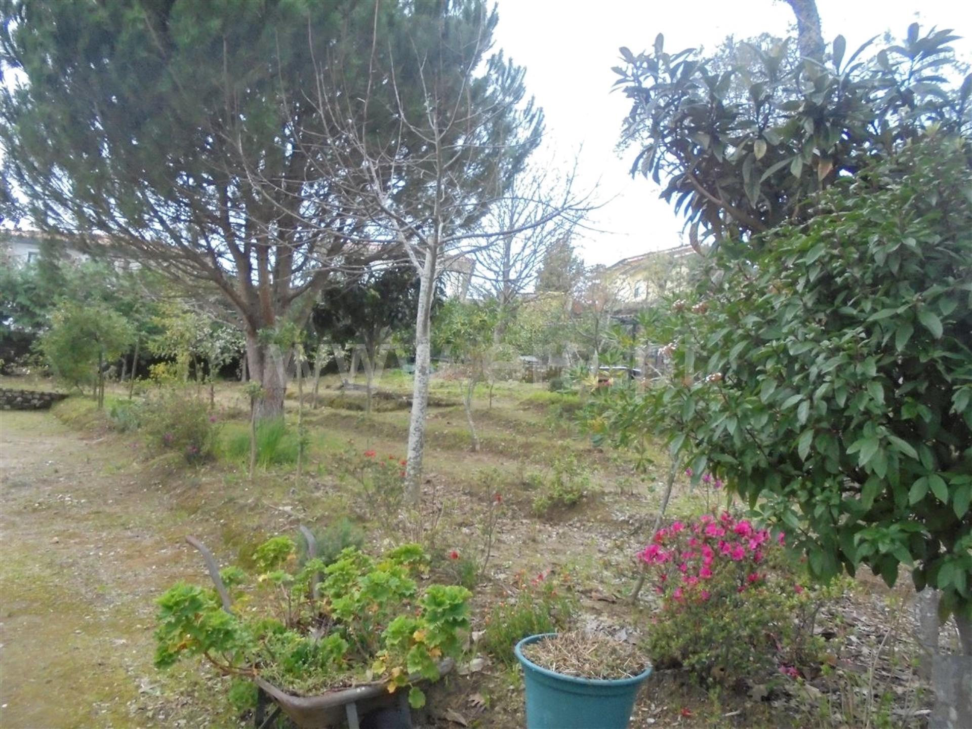 Land for sale in Barcelos, Portugal — €97,000