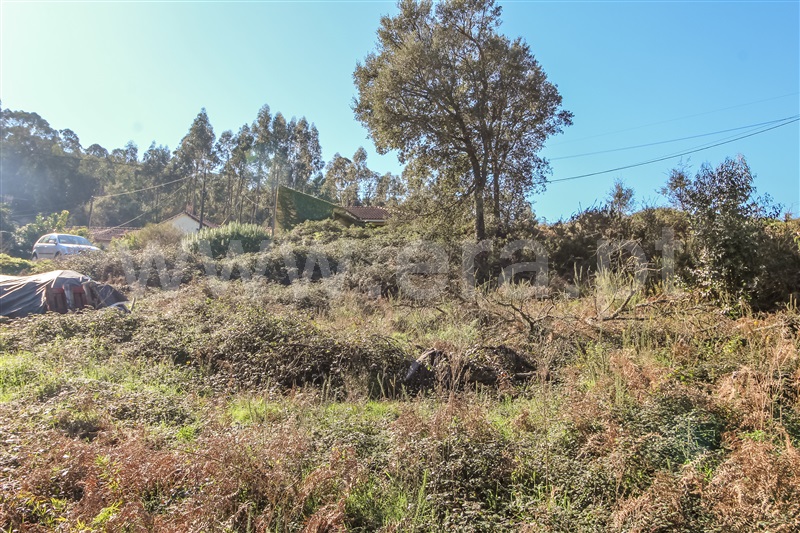Terreno para Construção  Barcelos, Fragoso - 1379918 - 4