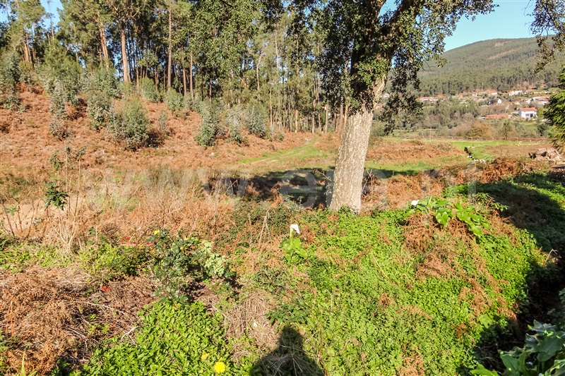 Terreno para Construção / Barcelos, Fragoso