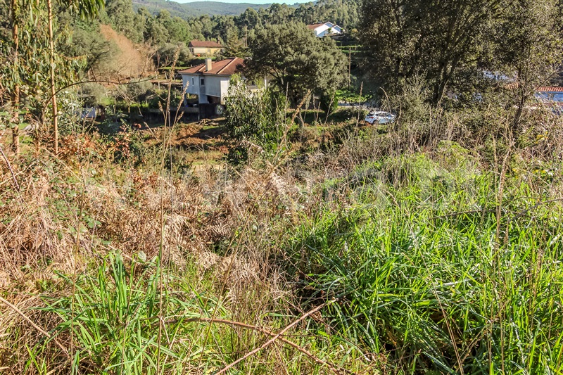 Terreno para Construção  Barcelos, Fragoso - 1379918 - 6