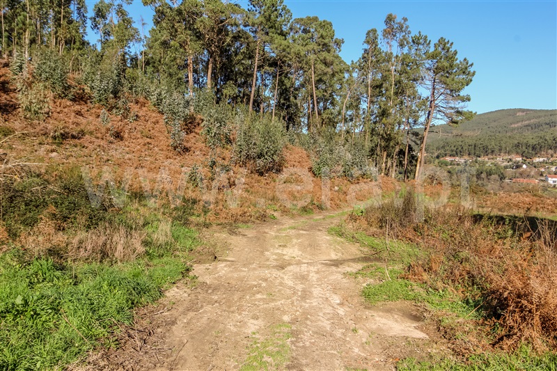 Terreno para Construção  Barcelos, Fragoso - 1379918 - 7