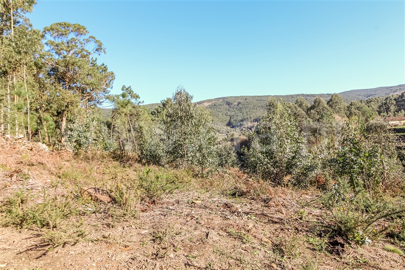 Terreno para Construção  Barcelos, Fragoso - 1379918 - 8
