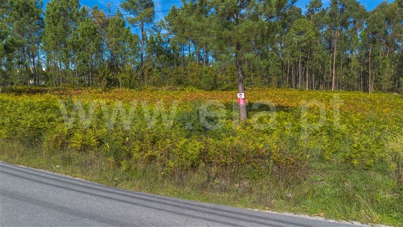 Terreno para Construção  Barcelos, Fragoso - 1508026 - 7