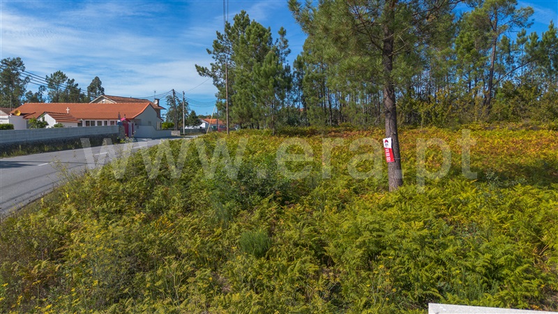 Terreno para Construção  Barcelos, Fragoso - 1508026 - 8