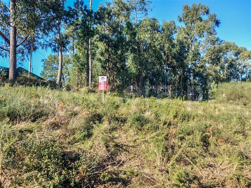 Terreno para Construção / Barcelos, Fragoso