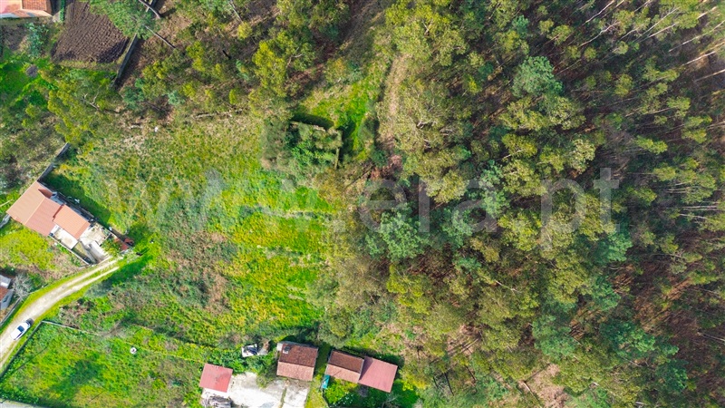 Terreno para Construção / Barcelos, Fragoso