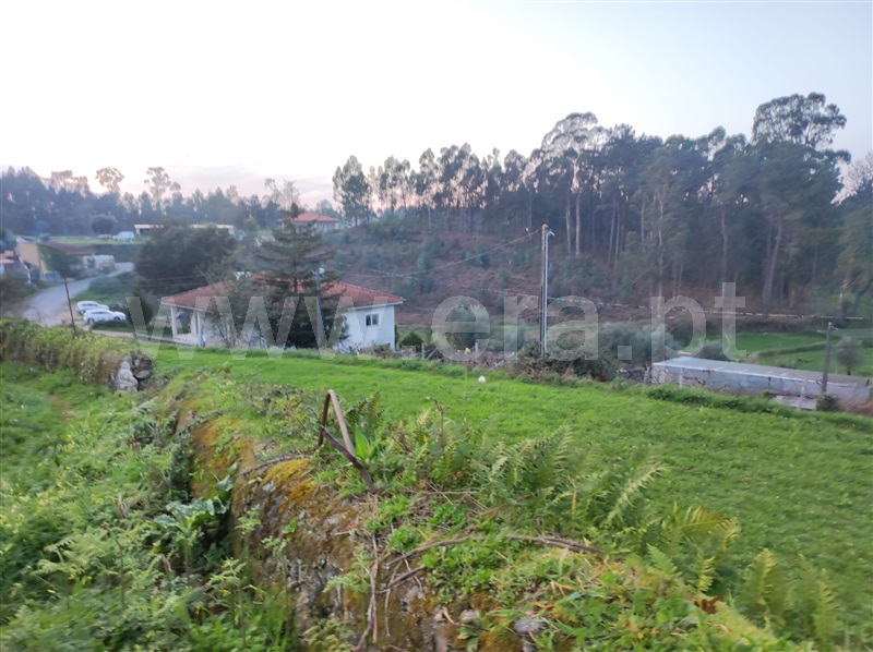 Terreno para Construção / Barcelos, Fragoso