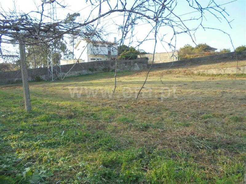 Terreno para Construção / Barcelos, Fragoso - View 4