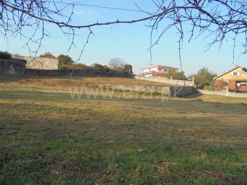Terreno para Construção / Barcelos, Fragoso - View 3